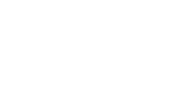 AUSTROMEX