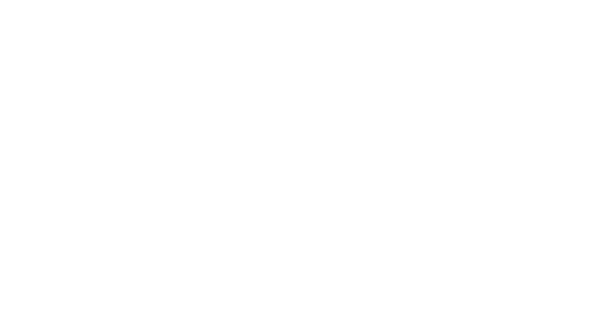WELD-500